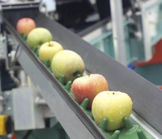 Food & Beverage Processing